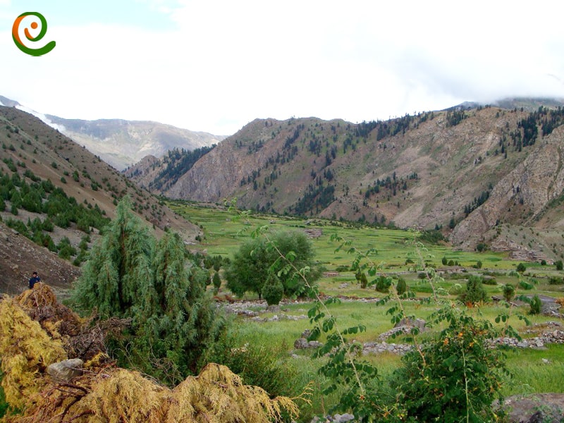 نانگا پاربات قله‌ی زیبا از پروژه 8000 متری ها در پاکستان را در دکوول بخوانید.